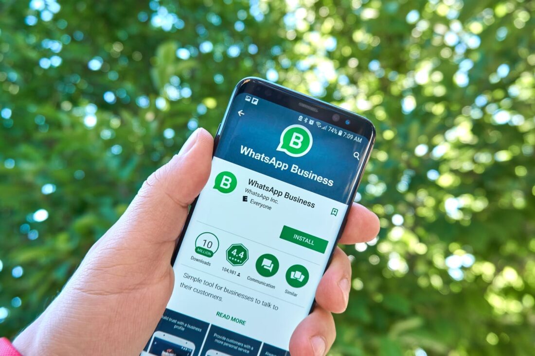 whatsapp-business